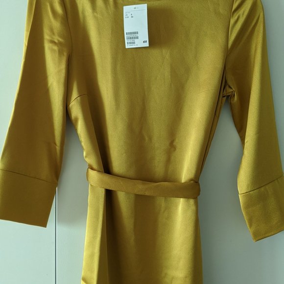 Fall Gold Satin Dress with Tie Belt Detail - Picture 4 of 5